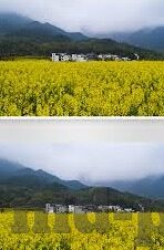 91麻豆在线视频-探讨网络内容多元化下的91麻豆在线视频现象与影响